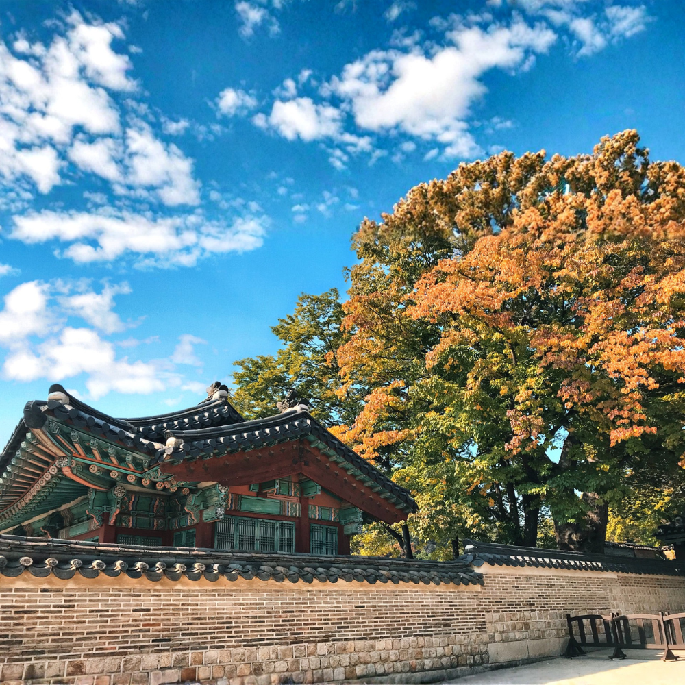 젊음을 이어주는 PY