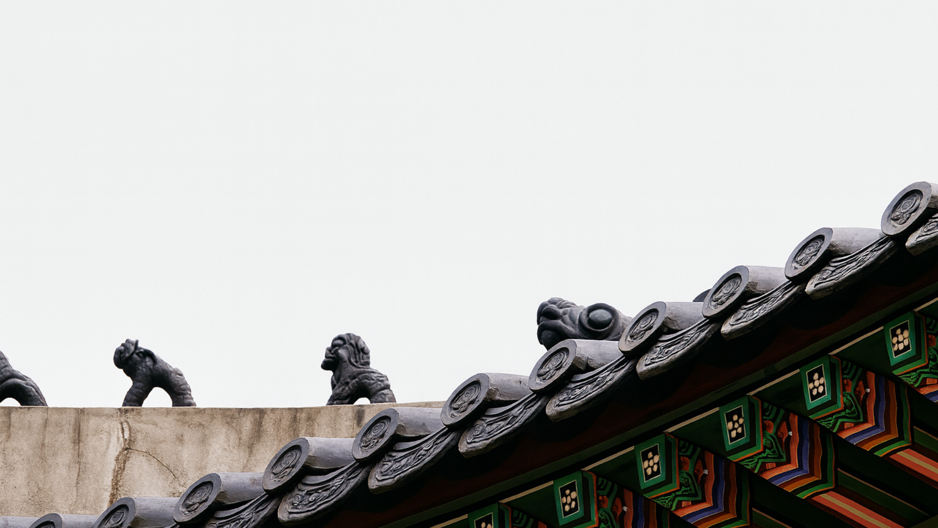 젊음을 이어주는 PY