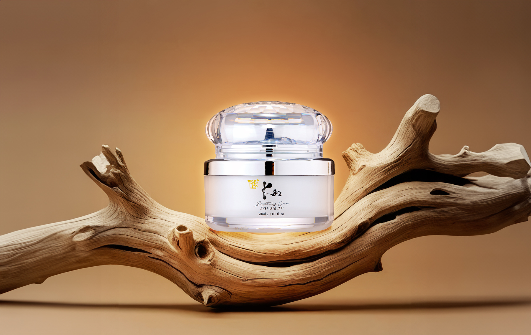 젊음을 이어주는 PY