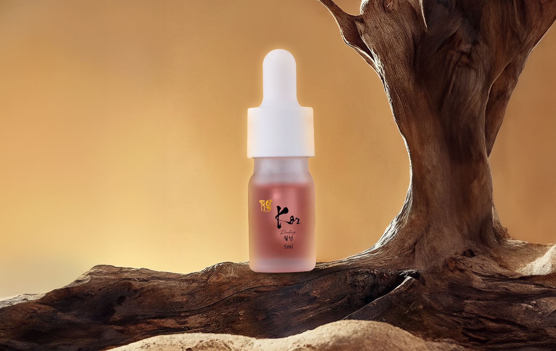 젊음을 이어주는 PY