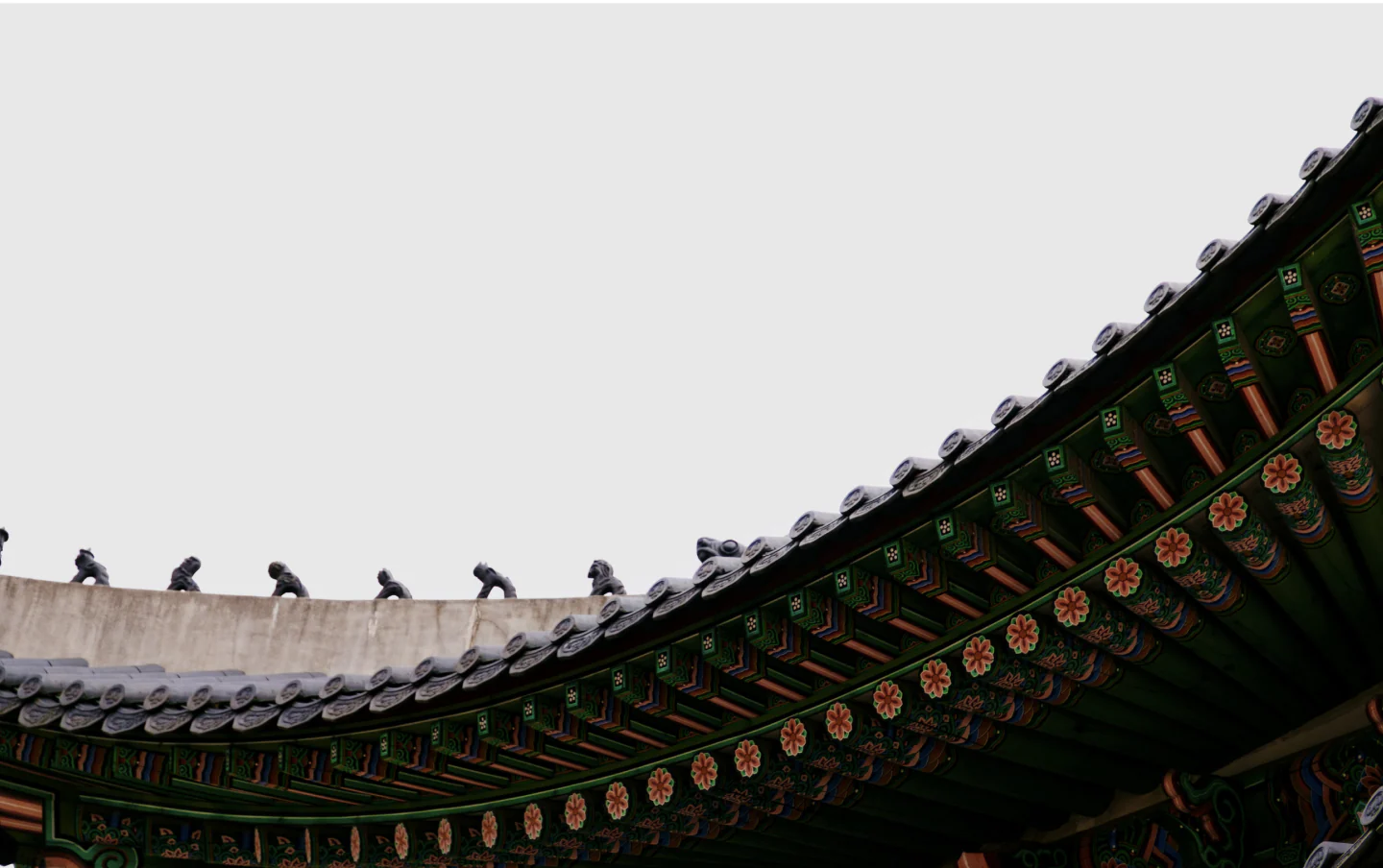 젊음을 이어주는 PY